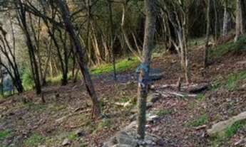 Imagem 4: Chácara em Kayser - Caxias do Sul