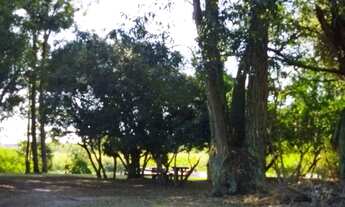 Imagem: Arroio Pelotas