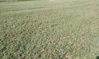 Imagem 2: Terreno à venda em condomínio localizado na divisa Vinhedo/Itupeva/SP