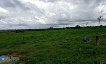 Imagem 2: Fazenda 210 alqueires Entre Espigão D' Oeste e Pimenta Bueno