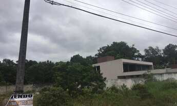 Imagem 2: Lote Marina Rio Belo Ponta Negra - Manaus - AM