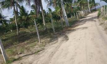 Imagem 3: Sitio em acajutiba - 1tarefa e meia na cidade