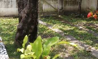 Imagem 3: Alugo casa em taipoca