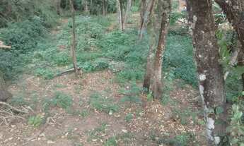 Imagem 3: Terreno em Jarinu SP / 300m² / Plano / Próximo a Comércio