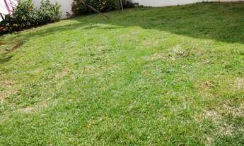 Imagem 2: Casa para venda possui 145 metros quadrados com 3 quartos em Vila Monte Alegre - Ribeirão