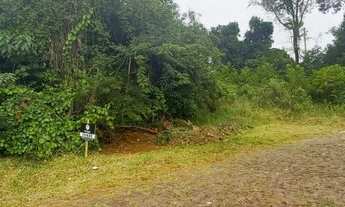 Imagem 5: DOIS IRMÃOS - Terreno Padrão - Moinho Velho