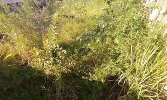 Imagem 5: GUARAPARI - Terreno Padrão - PORTO GRANDE