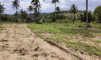 Imagem 5: Terreno 3 tarefas