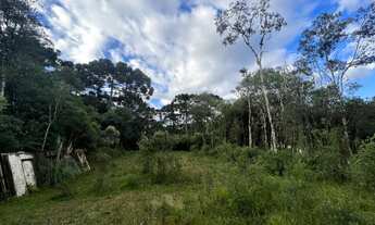 Imagem 5: TERRENO À VENDA EM SÃO JOSÉ DOS PINHAIS, PROXIMO AO PEDAGIO DA BR 277