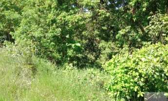 Imagem 6: Lote/Terreno para venda com 14000 metros quadrados em Centro - Mata de São João - BA