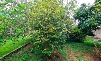 Imagem 7: Fazenda/Sítio/Chácara para venda tem 140 metros quadrados com 1 quarto em Jacaré - Cabreúv