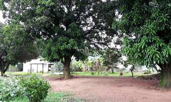 Imagem 7: ARARAQUARA - RESIDENCIAL - CHÁCARA FLORA ARARAQUARA