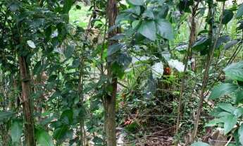 Imagem 3: Casa com terreno na Serra De guaramiranga