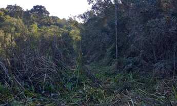 Imagem 4: Chácara á venda em Piraquara, no Roça nova