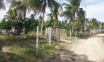 Imagem 5: Sitio em acajutiba - 1tarefa e meia na cidade