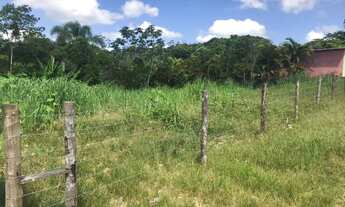 Imagem 2: Lote/Terreno para venda com 336,67m² - Pariquera-Açu - SP
