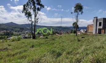 Imagem 7: Estância Velha - Terreno Padrão - Bela Vista