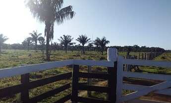 Imagem 6: 180 alqueres de terra