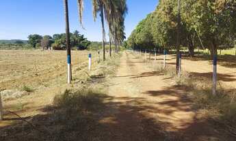 Imagem 2: Fazenda/Sítio/Chácara no Incra 08