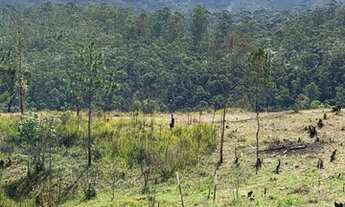 Imagem: Lote/Terreno para venda tem 1000 metros