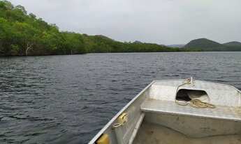 Imagem: Area com 28 alqueires