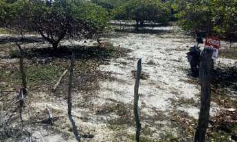 Imagem 3: Vendo / troco terreno em Beberibe