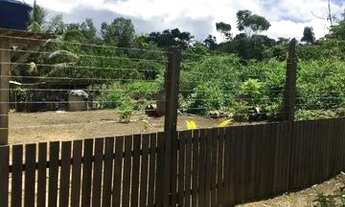 Imagem: Vendo ou troco terreno a 35 metros do asfalto