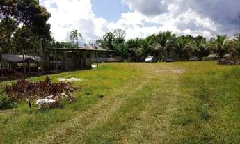 Imagem 3: Sítio - Casa, campo, ponto comercial