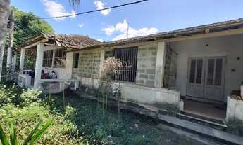 Imagem 4: TAQUARA AUGO GALPAO 25M2 TEMOS OUTROS