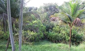 Imagem 4: Casa Encontro das Águas