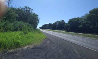 Imagem 3: Oportunidade / Terreno 20.000m2 ,frente para rodovia Br317,Maringá Pr