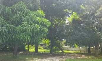 Imagem 3: Casa no araçagi com 3 quartos