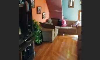 Imagem 2: Casa sobrado a venda