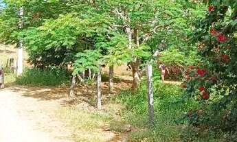 Imagem 5: Vendo chácara em aurora do Tocantins