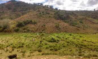 Imagem 4: Vendo terreno com 67,90 hectares -terras legítimas ?córrego da barata? município de Itueta