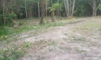 Imagem 2: Sítio terreno a 19 km de Salinas Pa