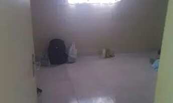 Imagem 4: Casa pra alugar no ur 11