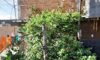 Imagem 2: 2 casas Casa com 2 dormitórios