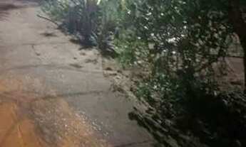 Imagem 7: Casa Casa com 3 dormitórios