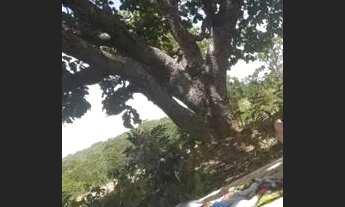 Imagem 2: Vende-se urgente