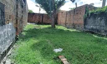 Imagem 2: Leia a descrição