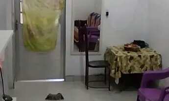 Imagem 4: Vende se casa rua senador Thomas lobo n 190