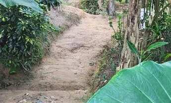 Imagem 3: Casa de cinco cômodos em uma chácara para vender