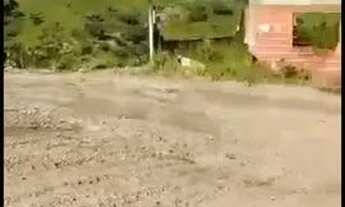 Imagem 6: Chácara no DF Chácara com venda por R$180.000