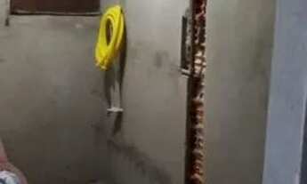 Imagem 4: Lindo sítio medindo 1145m2, plano, cercado, jardim espetacular