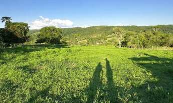 Imagem 7: Linda chacara Chácara com venda por R$1.200.000