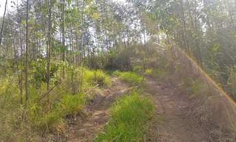 Imagem 4: Área rural em jarinu