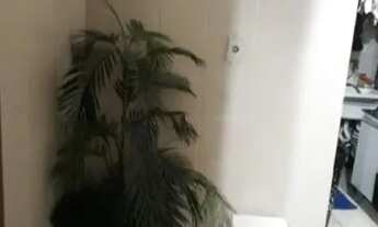 Imagem 4: )Casa para venda tem 60 metros quadrados com 2 quartos em Marambaia - Belém - Pará