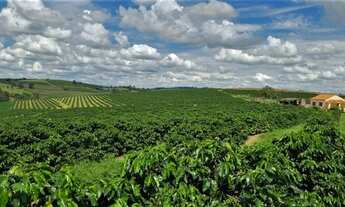 Imagem 3: Fazenda / Sítios / Chácaras com 2 dormitórios à venda em Machado