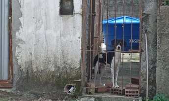 Imagem 7: Casa ao lado do condomínio vila real